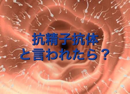 抗精子抗体と言われたら