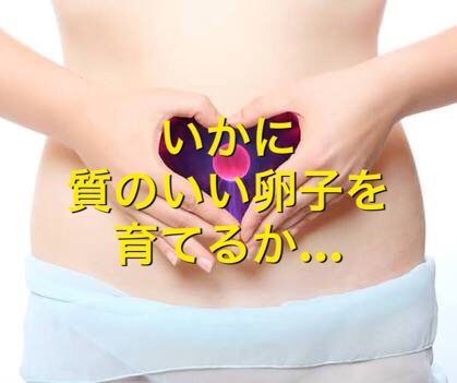 いかに質の良い卵子を育てるか…