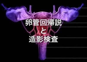 卵管回帰説と造影検査