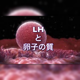 LHと卵子の質