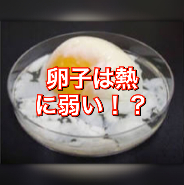 卵子は熱に弱い！？