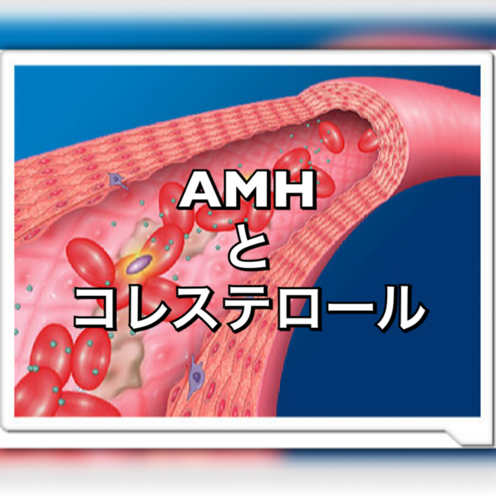 AMHとコレステロール