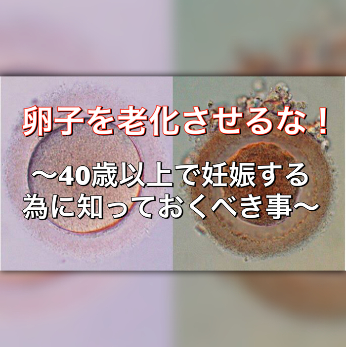 卵子を老化させるな！〜40歳