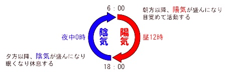 コラム 陰陽からみた種まきのタイミング.png