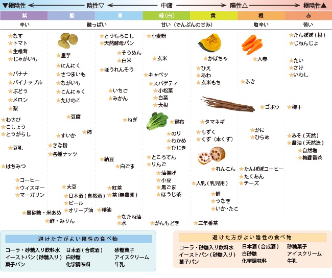 コラム 食と陰陽.png