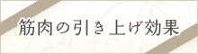 筋肉の引き上げ効果