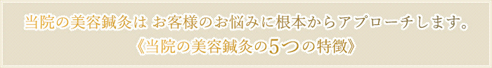 当院の美容鍼灸は お客様のお悩みに根本からアプローチします。《当院の美容鍼灸の5つの特徴》