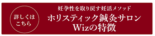 ホリスティック鍼灸サロン Wizの特徴